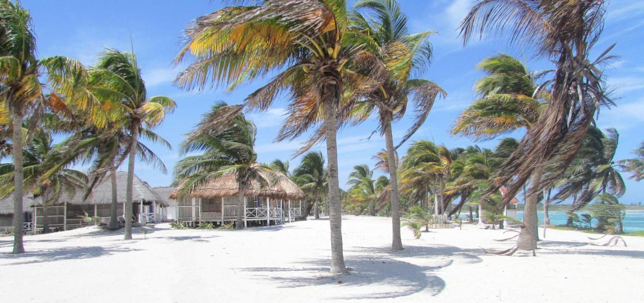 Cabanas Ecoturisticas Costa Maya 玛哈威 外观 照片