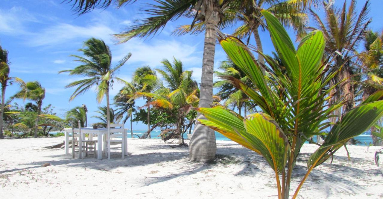 Cabanas Ecoturisticas Costa Maya 玛哈威 外观 照片