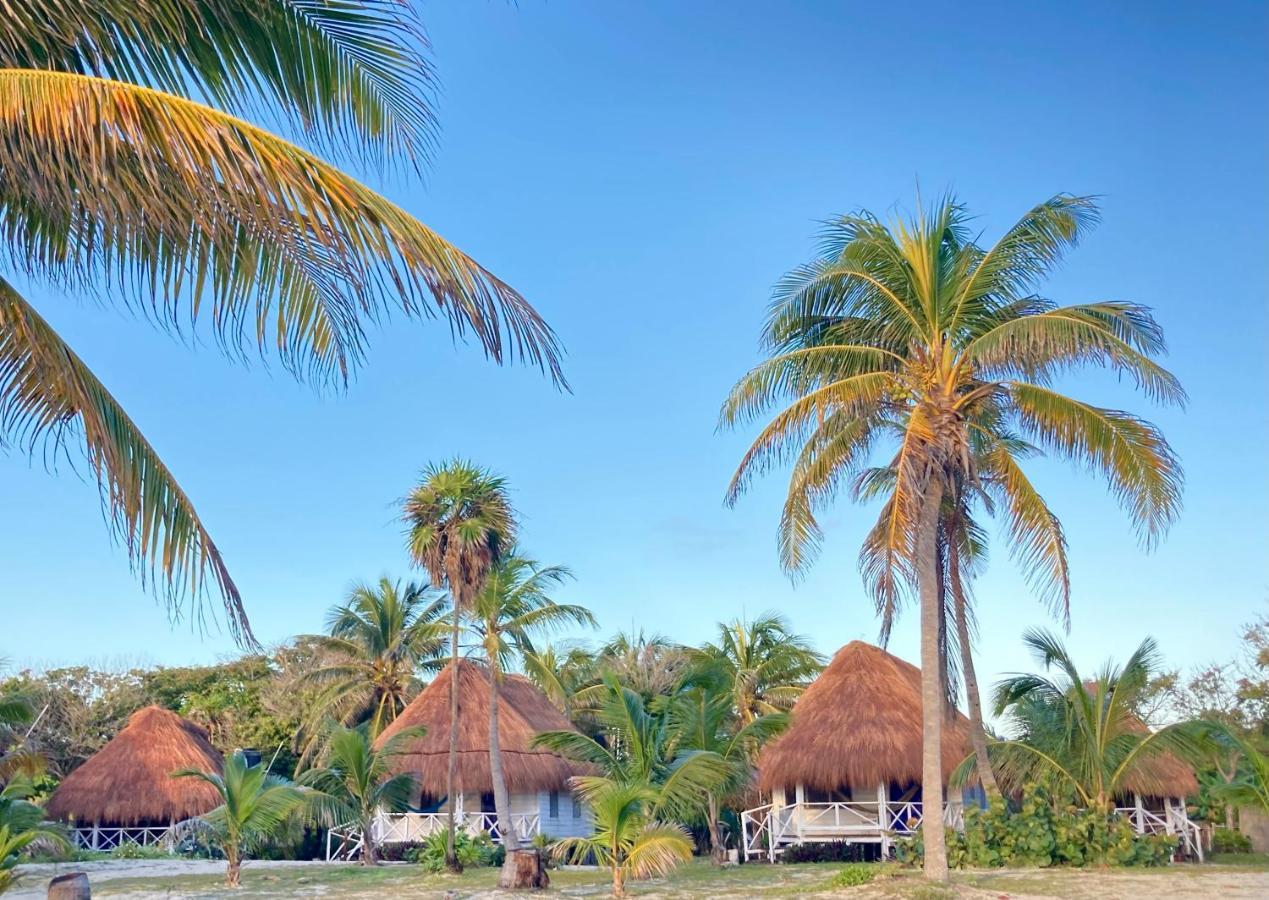Cabanas Ecoturisticas Costa Maya 玛哈威 外观 照片