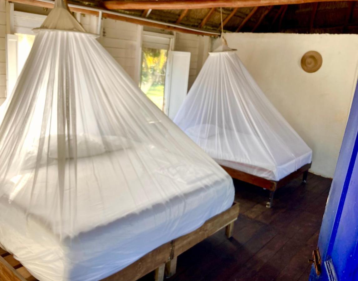 Cabanas Ecoturisticas Costa Maya 玛哈威 外观 照片