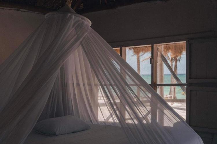 Cabanas Ecoturisticas Costa Maya 玛哈威 外观 照片