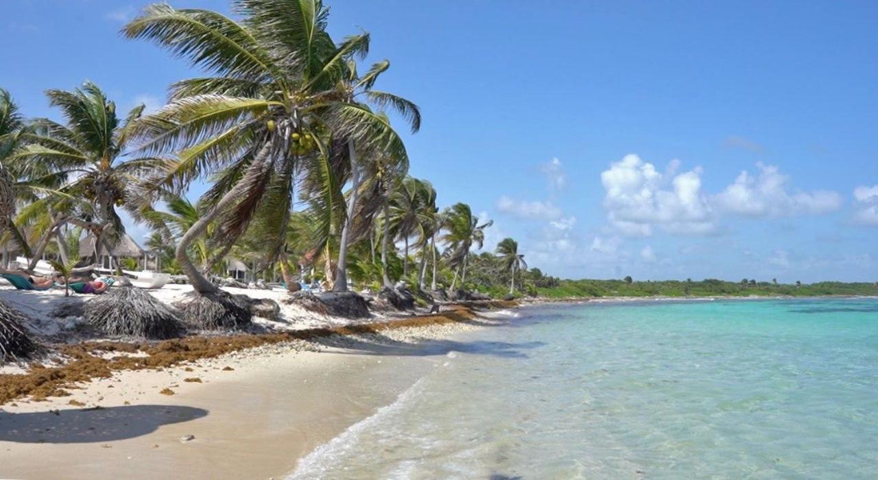 Cabanas Ecoturisticas Costa Maya 玛哈威 外观 照片