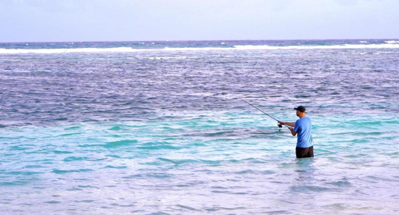 Cabanas Ecoturisticas Costa Maya 玛哈威 外观 照片