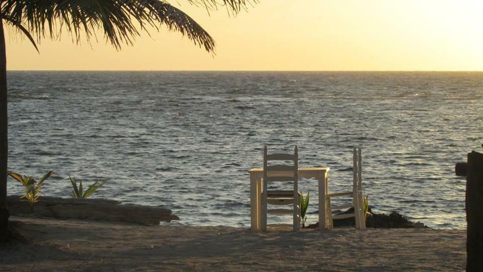 Cabanas Ecoturisticas Costa Maya 玛哈威 外观 照片