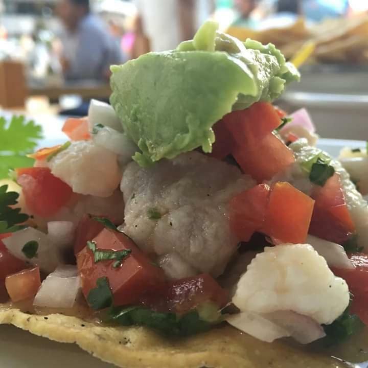 Cabanas Ecoturisticas Costa Maya 玛哈威 外观 照片