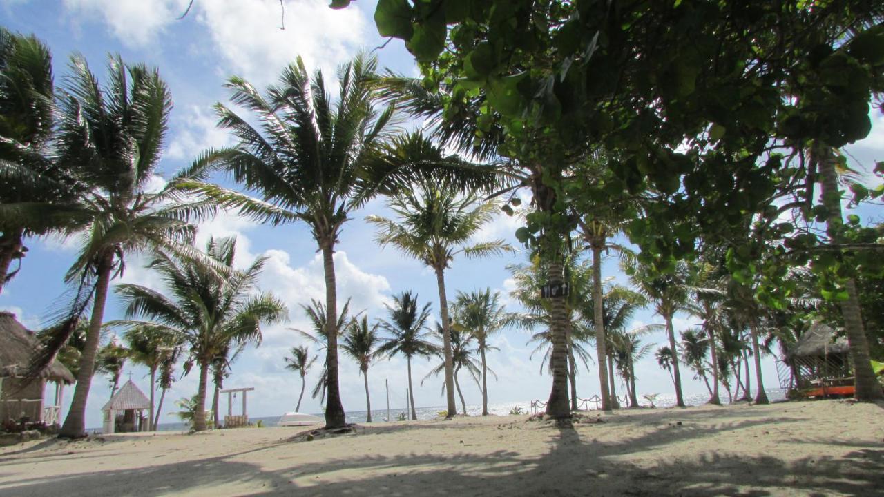 Cabanas Ecoturisticas Costa Maya 玛哈威 外观 照片