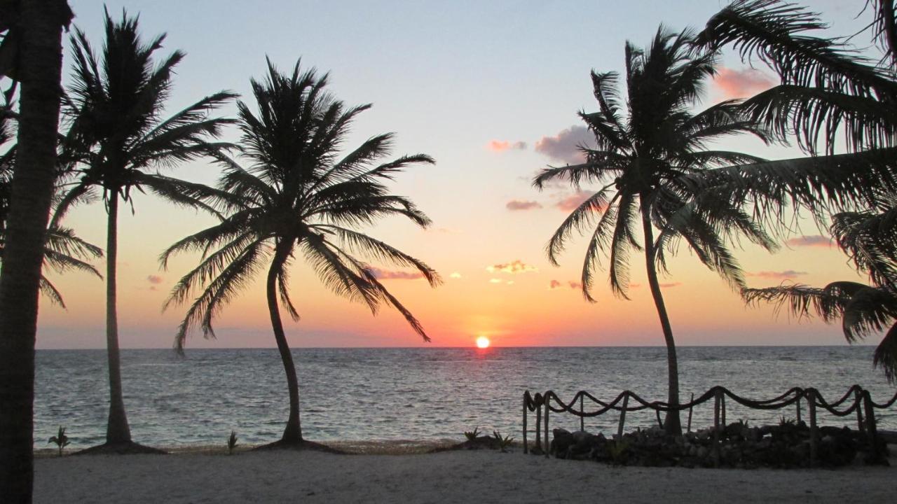 Cabanas Ecoturisticas Costa Maya 玛哈威 外观 照片