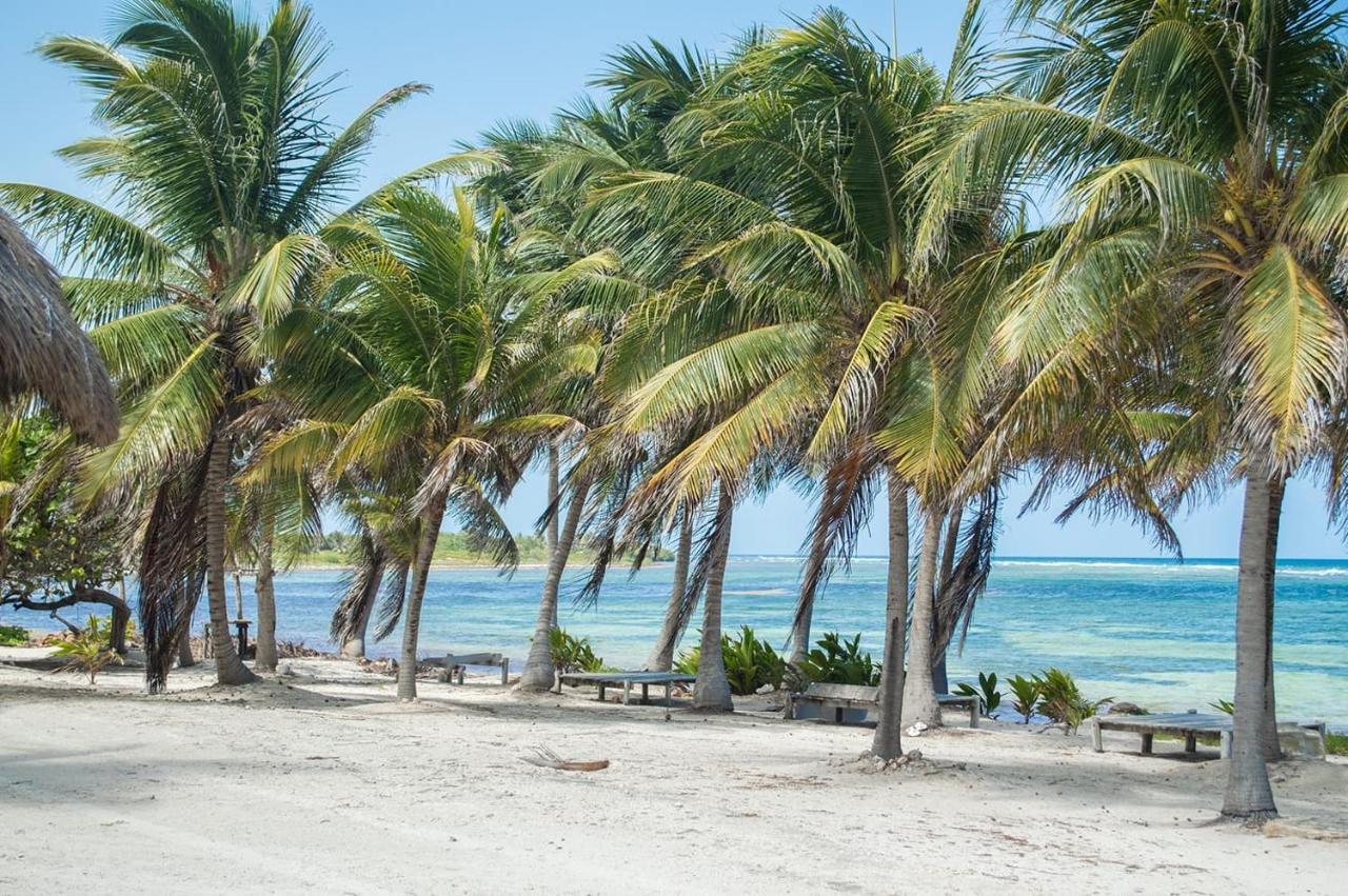Cabanas Ecoturisticas Costa Maya 玛哈威 外观 照片